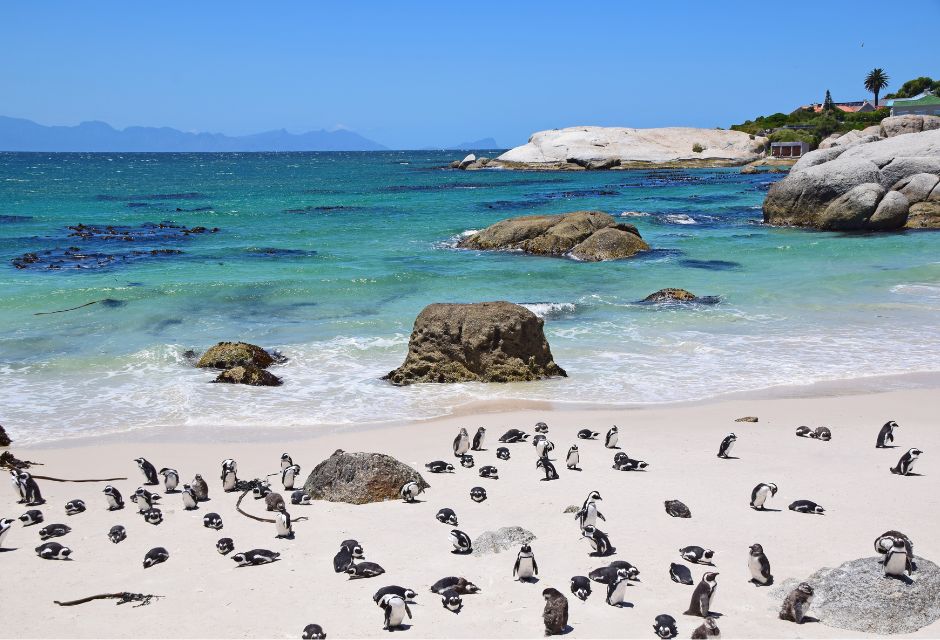 Boulders Beach