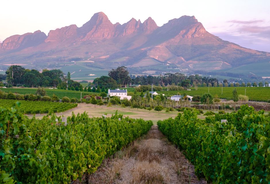 Cape Winelands