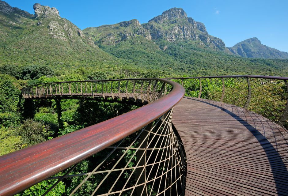 Kirstenbosch National Botanical Gardens